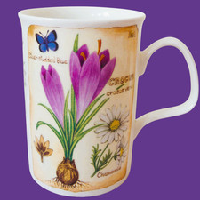 Roy kirkham botanica for sale  CAMBORNE