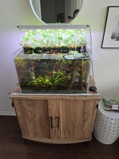 Planted gallon aquarium for sale  Pearland