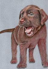 Original colored pencil for sale  SOUTHSEA