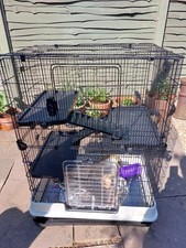 Tier rat hamster for sale  BEDFORD