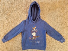 Hoodie polo bear for sale  TEWKESBURY