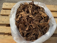 Tabakblätter burley 5 gebraucht kaufen  Würzburg
