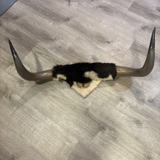 cattle trough for sale  Portland