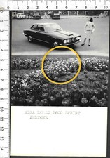 alfa sprint romeo 2600 usato alfa sprint romeo 2600 usato Italia