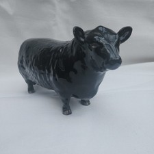 Black beswick aberdeen for sale  GRIMSBY