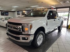 2019 250 xlt for sale  Hamilton