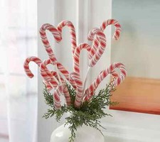 Set candy cane for sale  Dothan