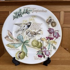 Caverswall china wall for sale  FAREHAM