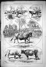 Old 1877 sale for sale  UK