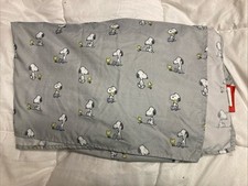 Peanuts snoopy woodstock for sale  Madison