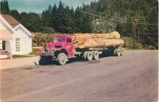REDWOOD HIGHWAY CALIFORNIA enormes caminhões movidos a diesel década de 1960 cartão postal antigo comprar usado REDWOOD HIGHWAY CALIFORNIA enormes caminhões movidos a diesel década de 1960 cartão postal antigo comprar usado  Enviando para Brazil