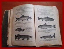 Libro cucina francese usato  Roma