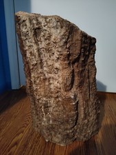Natural large petrified for sale  Huachuca City