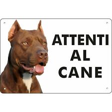 Pitbull attenti cane usato  San Filippo del Mela