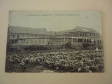 pavillon phono d'occasion  Romorantin-Lanthenay