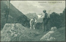 Torino chialamberto scena usato  San Germano Vercellese