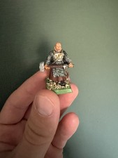 Warhammer the sigmarpriester gebraucht kaufen  Scheeßel