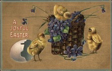 Easter chicks hatch for sale  USA