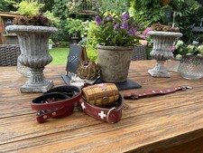 hundeleine hundehalsband gebraucht kaufen hundeleine hundehalsband gebraucht kaufen Velpke