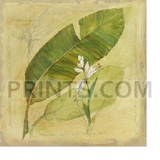 Avery tillmon botanical for sale  Milwaukee
