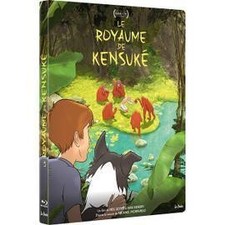 Blu ray royaume d'occasion  Les Mureaux