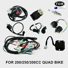 Complete electrics quad d'occasion  Expédié en Belgium