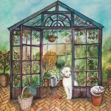 Joe ramm flower for sale Joe ramm flower for sale  LEICESTER