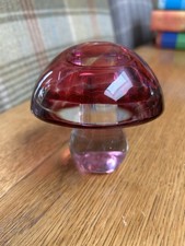 Pinky red mushroom for sale  SHEFFIELD