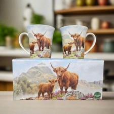 Highland cow fine for sale  STEVENSTON