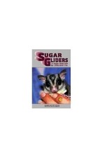 Sugar gliders new for sale  UK