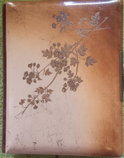 Altes jugendstil fotoalbum gebraucht kaufen  Meschede