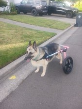 Walkin wheels large for sale  Medford