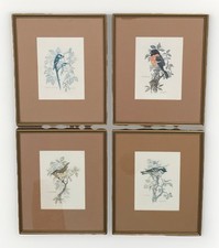 Framed watercolour bird for sale  TROWBRIDGE