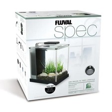 Askoll fluval spec usato  Terlizzi