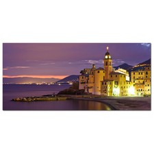 Lupia quadro tela usato  San Cassiano
