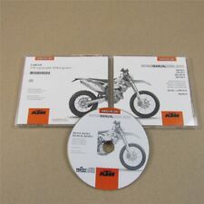 Rig ktm 250 gebraucht kaufen  Merseburg