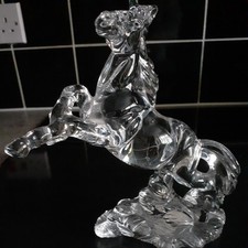 Crystal stallion horse for sale Crystal stallion horse for sale  BURNLEY