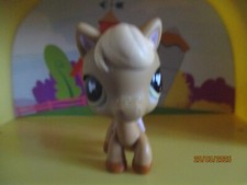 Petshop cheval 560 d'occasion  Saint-Omer
