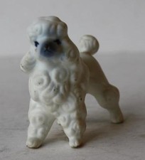 French poodle dog for sale  Noblesville