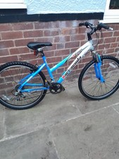 Barracuda xeon mountain for sale  BIRMINGHAM