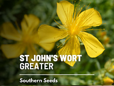 St. john wort for sale  Frisco