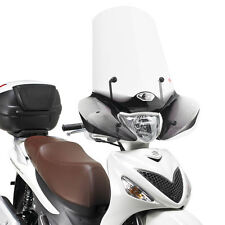 169a givi parabrezza usato  Tribogna