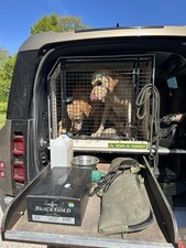 Lintran dog transit for sale  SWADLINCOTE
