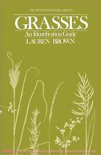 Grasses identification guide d'occasion  Expédié en Belgium