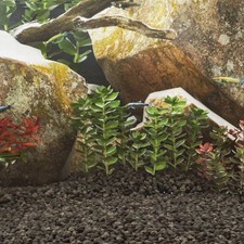 Basalt gravel aquarium for sale  LONDON