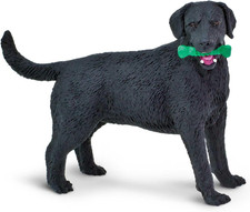 Black labrador retriever for sale  Santa Fe