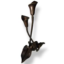 Calla lily scott for sale  Belmar