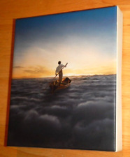 PINK FLOYD - THE ENDLESS RIVER - CD/DVD Deluxe Box set comprar usado  Enviando para Brazil