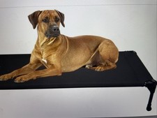 Veehoo dog pet for sale  CAMBRIDGE