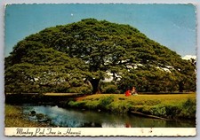 Postcard hawaiian monkey for sale  Factoryville